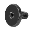 Screw, Torx T5, Flash Storage 923-00224