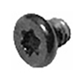 Screw Thermal, T5 923-00501