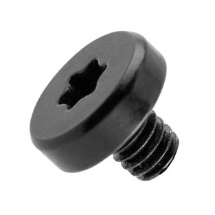 Screw, T8, 2.5mm x 3.0mm, Torx T10 923-0336