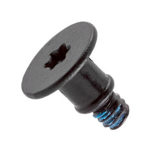 Screw, Torx T5, Camera / iSight 923-0339