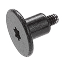 Screw, Speaker, Left, Torx T5 923-03539