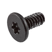 Screw, Logic Board, Torx T5 923-03968