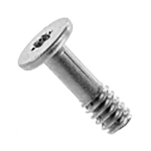 Screw, Audio Board, Torx T3 923-05669