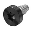 Screw M2.5, Dogpoint, Torx T8 923-0715